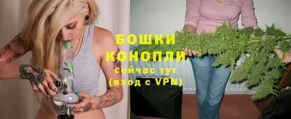 тгк Вяземский