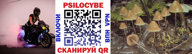 Псилоцибиновые грибы GOLDEN TEACHER  что такое наркотик  Дербент 